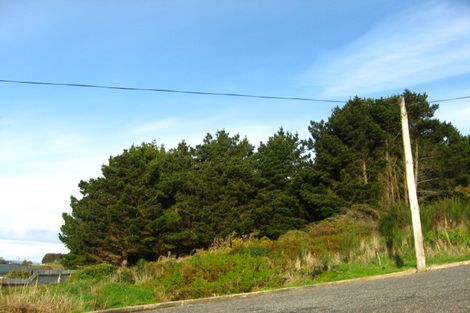 Photo of property in 84 Walker Street, Bluff, 9814