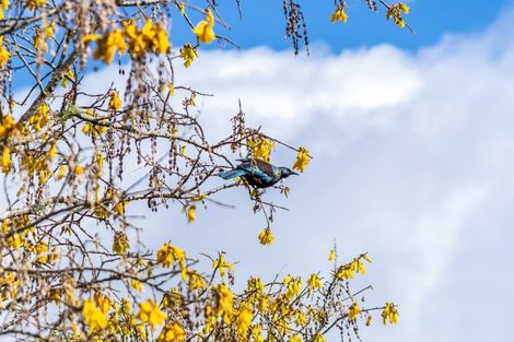 Photo of property in 9 Chichester Drive, Pinehaven, Upper Hutt, 5019