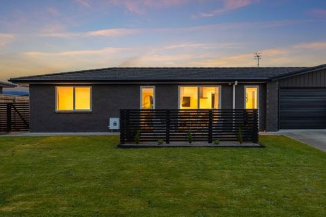 Photo of property in 87 Hinemoa Street, Levin, 5510