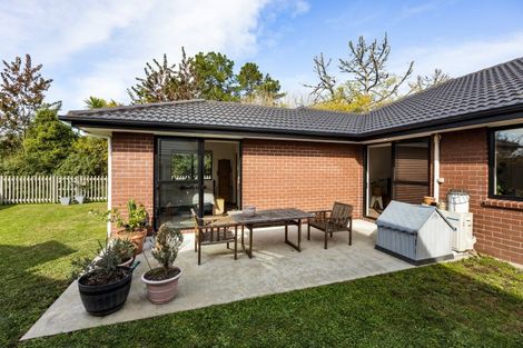 Photo of property in 239d Dixon Road, Fitzroy, Hamilton, 3206