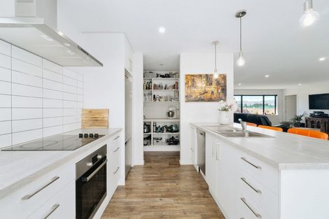 Photo of property in 411b Maori Point Road, Tarras, Cromwell, 9383