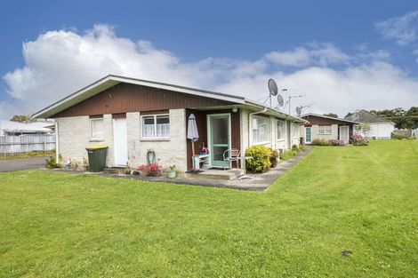Photo of property in 44 Cambridge Street, Levin, 5510