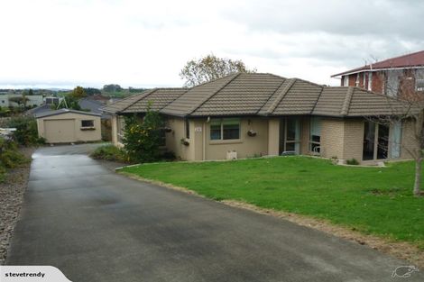 Photo of property in 241 Te Tomo Street, Te Awamutu, 3800