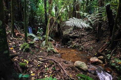Photo of property in 7 Stoney Brook Lane, Kerikeri, 0230