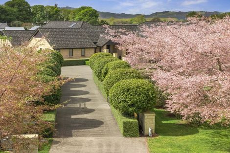 Photo of property in 155 Amelia Place, Leamington, Cambridge, 3432