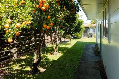 Photo of property in 4 Leon Street, Riverdale, Gisborne, 4010