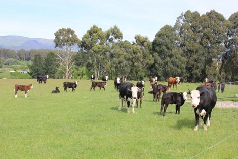 Photo of property in 58 Bryce Road, Dipton, 9791