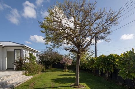 Photo of property in 60 Parker Avenue, Levin, 5510