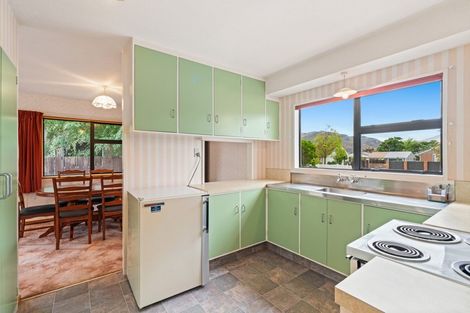 Photo of property in 156 Waenga Drive, Cromwell, 9310