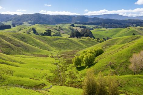 Photo of property in 390 North Road, North East Valley, Dunedin, 9010