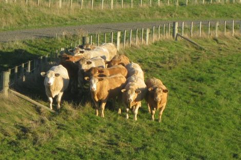 Photo of property in 183a Smith Road, Dannevirke, 4978