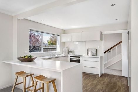 Photo of property in 77 Winchester Street, Merivale, Christchurch, 8014