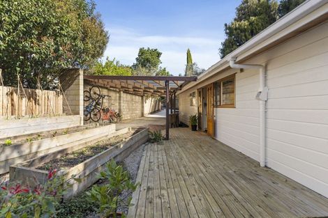 Photo of property in 175a Mokoia Road, Birkenhead, Auckland, 0626