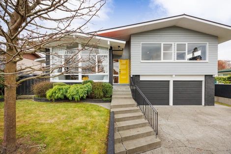 Photo of property in 50 Newcastle Street, Hokowhitu, Palmerston North, 4410