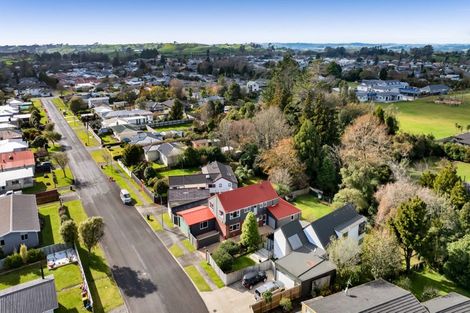 Photo of property in 21 Nikau Street, Inglewood, 4330