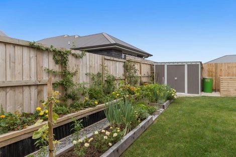 Photo of property in 64 Te Ranga Memorial Drive, Pyes Pa, Tauranga, 3112