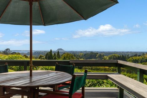 Photo of property in 177b Crawford Road, Minden, Tauranga, 3171
