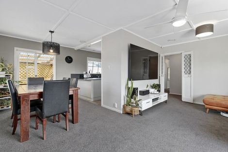 Photo of property in 6 Hazelwood Avenue, Dinsdale, Hamilton, 3204