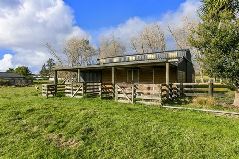 Photo of property in 149 Postman Road, Dairy Flat, Albany, 0794