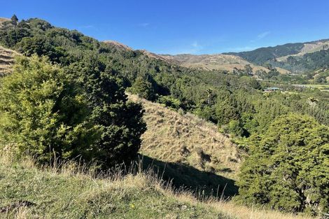 Photo of property in 61 Mickell Road, Hautere, Otaki, 5582