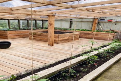 Photo of property in 61 Half Mile Road, Tuatapere, 9620