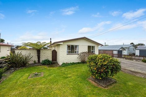 Photo of property in 25 Clyde Street, Renwick, 7204