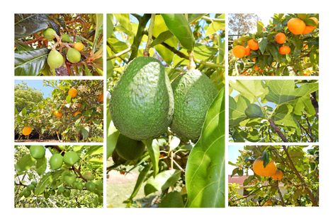 Photo of property in 39 Riverview Road, Kerikeri, 0230