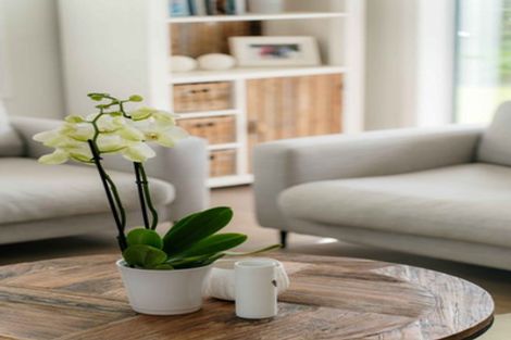 Photo of property in 19 Hinau Road, Karaka, Papakura, 2113