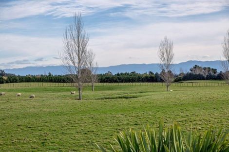 Photo of property in 146 White Rock Road, Martinborough, 5781