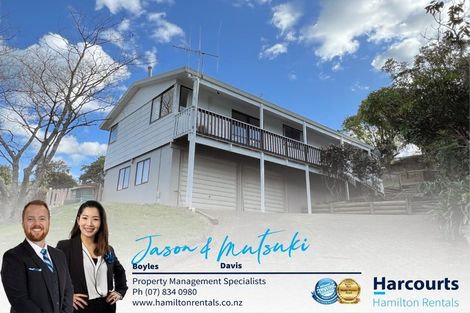 Photo of property in 58 Hazelwood Avenue, Dinsdale, Hamilton, 3204