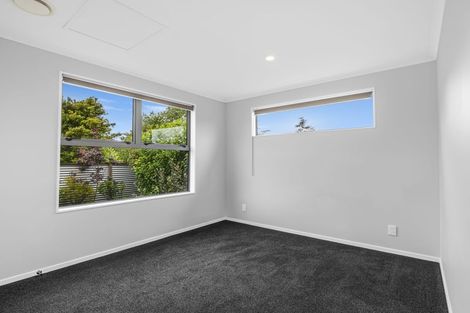 Photo of property in 114a Stanford Street North, Ashhurst, 4810