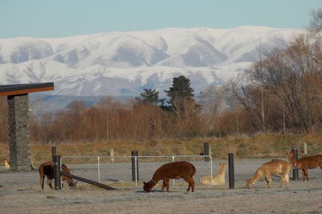 Photo of property in 34 Grant Street, Temuka, 7920
