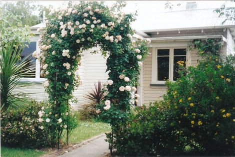 Photo of property in 903 Lyell Street, Akina, Hastings, 4122