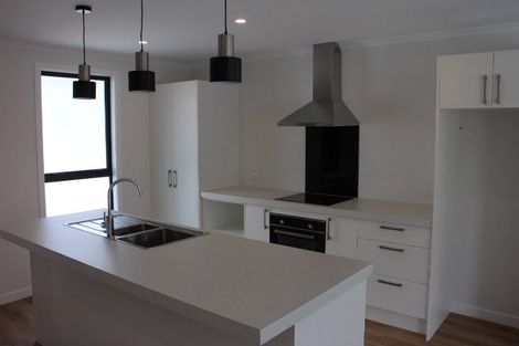 Photo of property in 34 Donegal Street, Cromwell, 9310