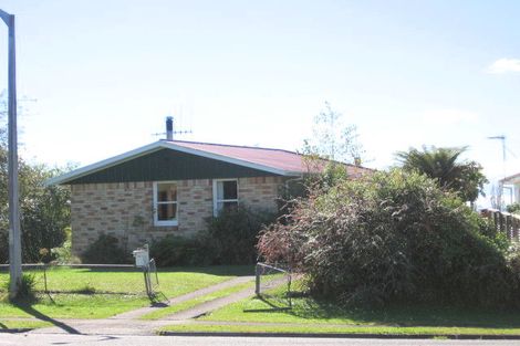 Photo of property in 12 Bledisloe Avenue, Putaruru, 3411