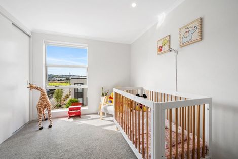 Photo of property in 22 Horo Road, Flat Bush, Auckland, 2019