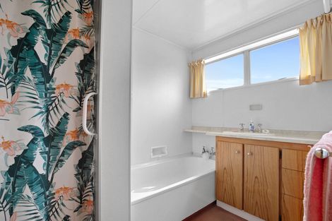 Photo of property in 9 Rawhiti Street, Alexandra, 9320