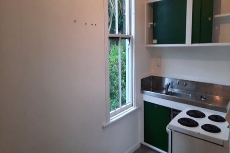 Photo of property in 39 Buller Street, Te Aro, Wellington, 6011