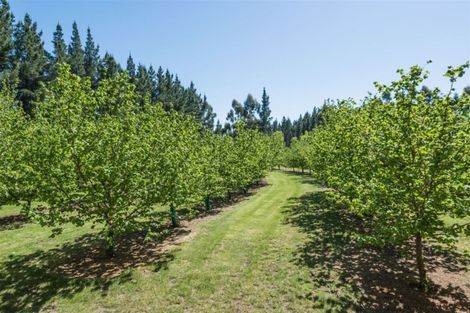 Photo of property in 5 Mona Vale Street, Waikari, 7420