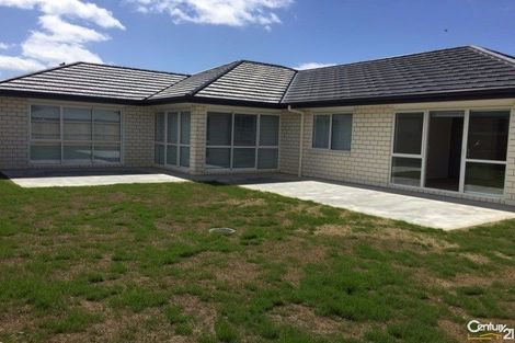 Photo of property in 117 Hillpark Drive, Pokeno, 2402