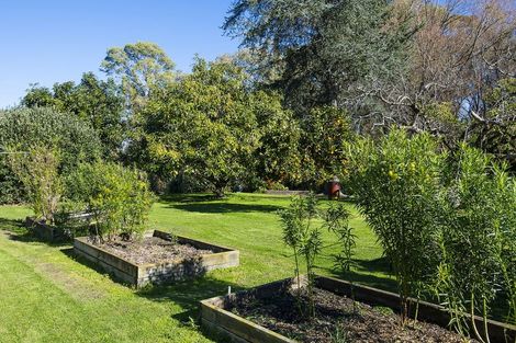 Photo of property in 119 Whakato Road, Manutuke, 4072