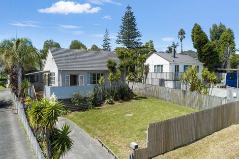 Photo of property in 17 Blacklock Avenue, Henderson, Auckland, 0612