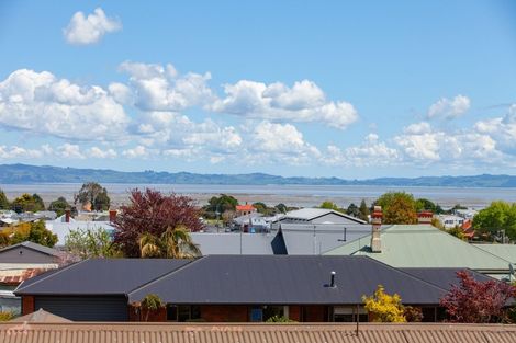 Photo of property in 110 Sandes Street, Thames, 3500