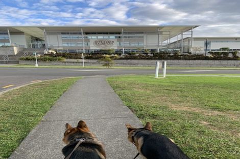 Photo of property in 1 Seresin Crescent, Flat Bush, Auckland, 2016