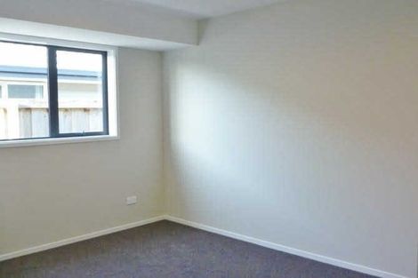 Photo of property in 123 Infinity Drive, Pegasus, 7612
