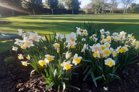 Photo of property in 250 Selwyn, Rolleston, 7678