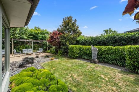 Photo of property in 6 Makepeace Place, Flagstaff, Hamilton, 3210