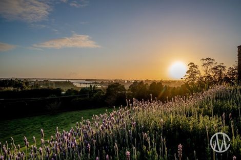 Photo of property in 71 Emeny Road, Whakamarama, Tauranga, 3172