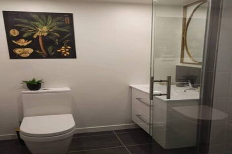 Photo of property in Vsp South, 905/168 Victoria Street, Te Aro, Wellington, 6011