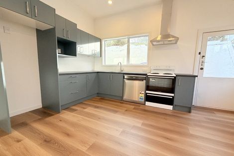 Photo of property in 9 Havelock Street, Mornington, Wellington, 6021